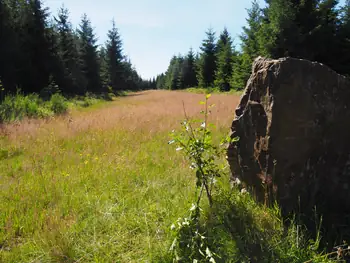 Signal de Botrange (België)